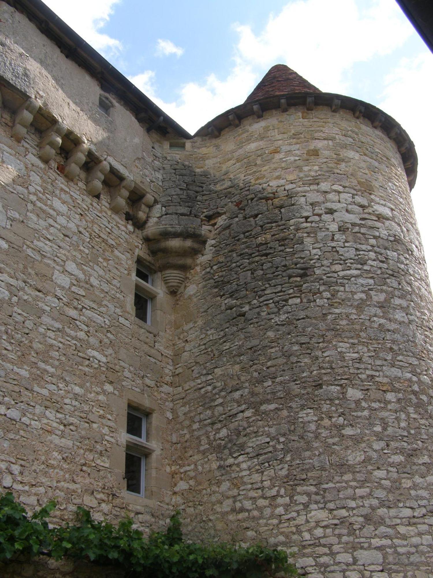 Chateau De Camboulan Ambeyrac ภายนอก รูปภาพ